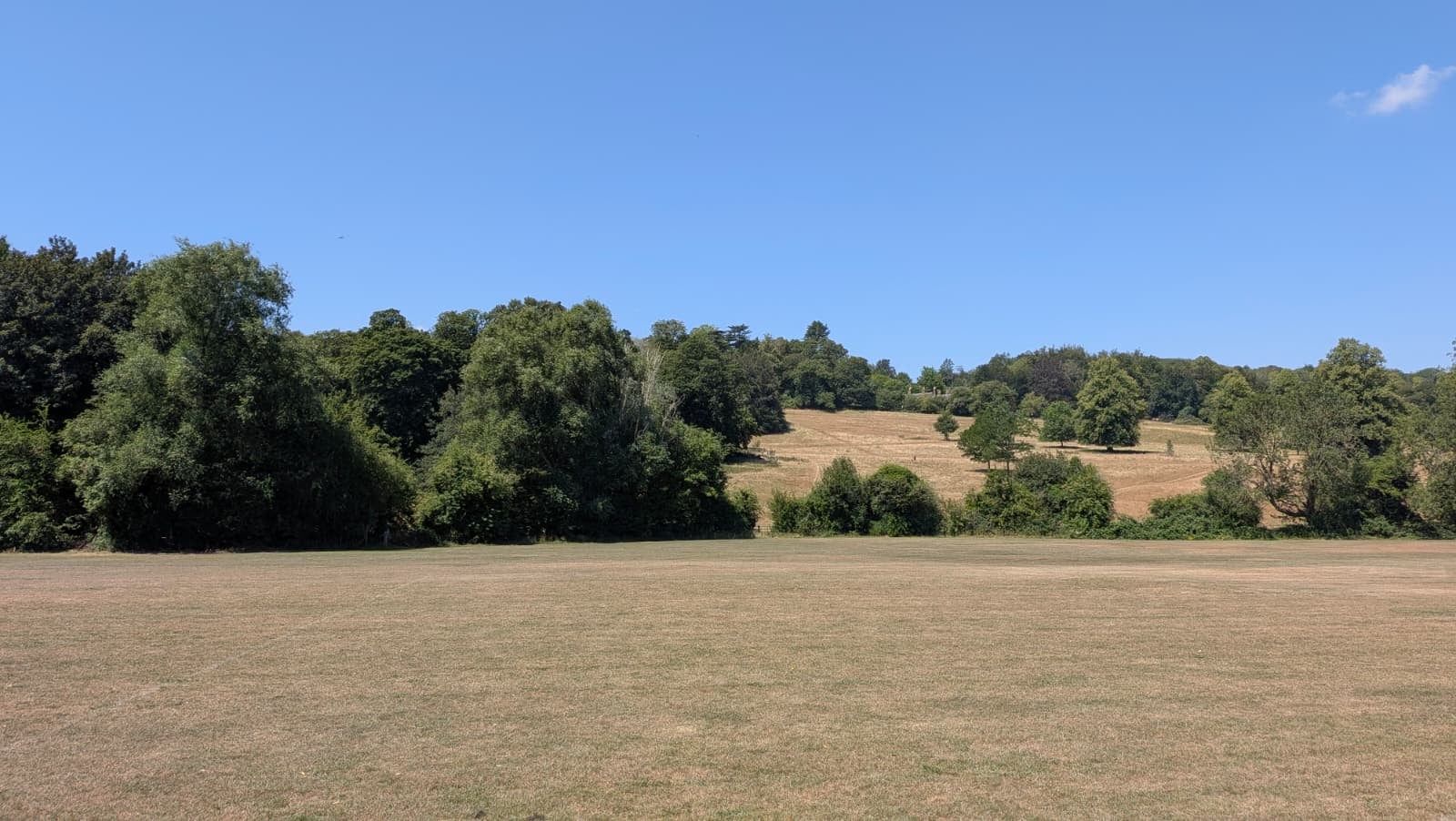 The grounds and valley at Magnolia Park